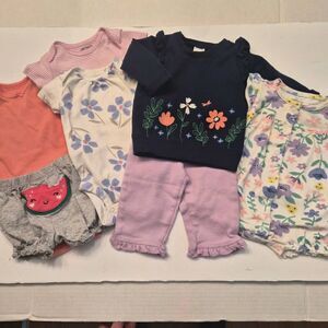 3month Baby Girl Clothes: Outfits Floral Spring Pink: Carter's & Just One You